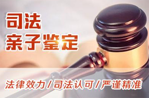 丽水司法亲子鉴定哪里能办理,