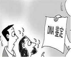 丽水隐私亲子鉴定办理流程，丽水隐私亲子鉴定多少钱